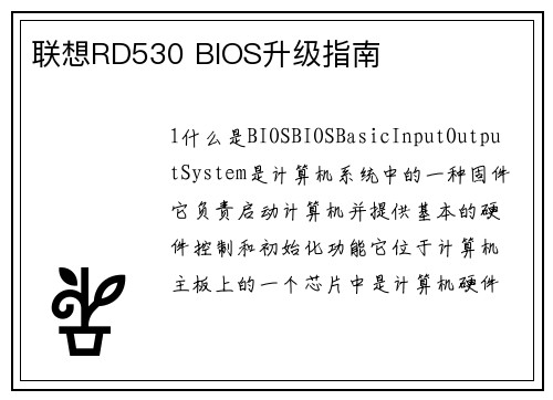 联想RD530 BIOS升级指南
